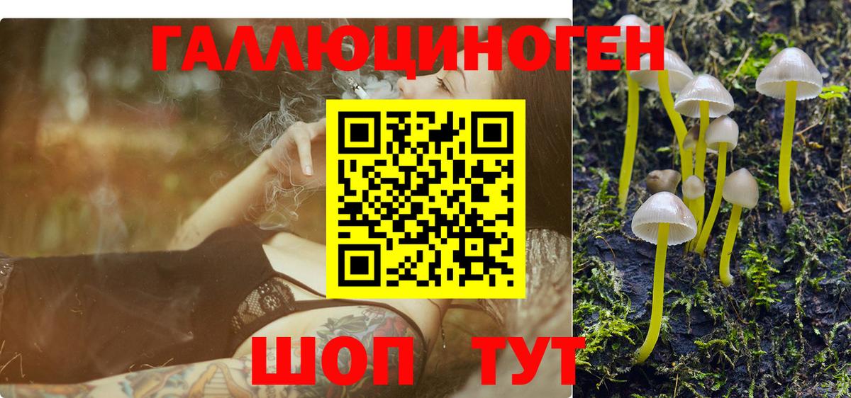 Галлюциногенные грибы GOLDEN TEACHER Унеча