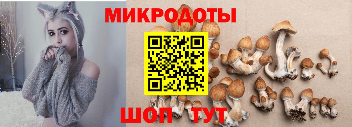 наркошоп  Вход с VPN  Унеча  Галлюциногенные грибы Magic Shrooms  Галлюциногенные грибы мицелий 